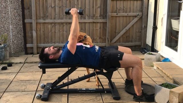 Tempo Dumbbell Bench Press смотреть онлайн