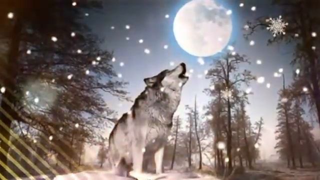 Стаи волков смотреть онлайн