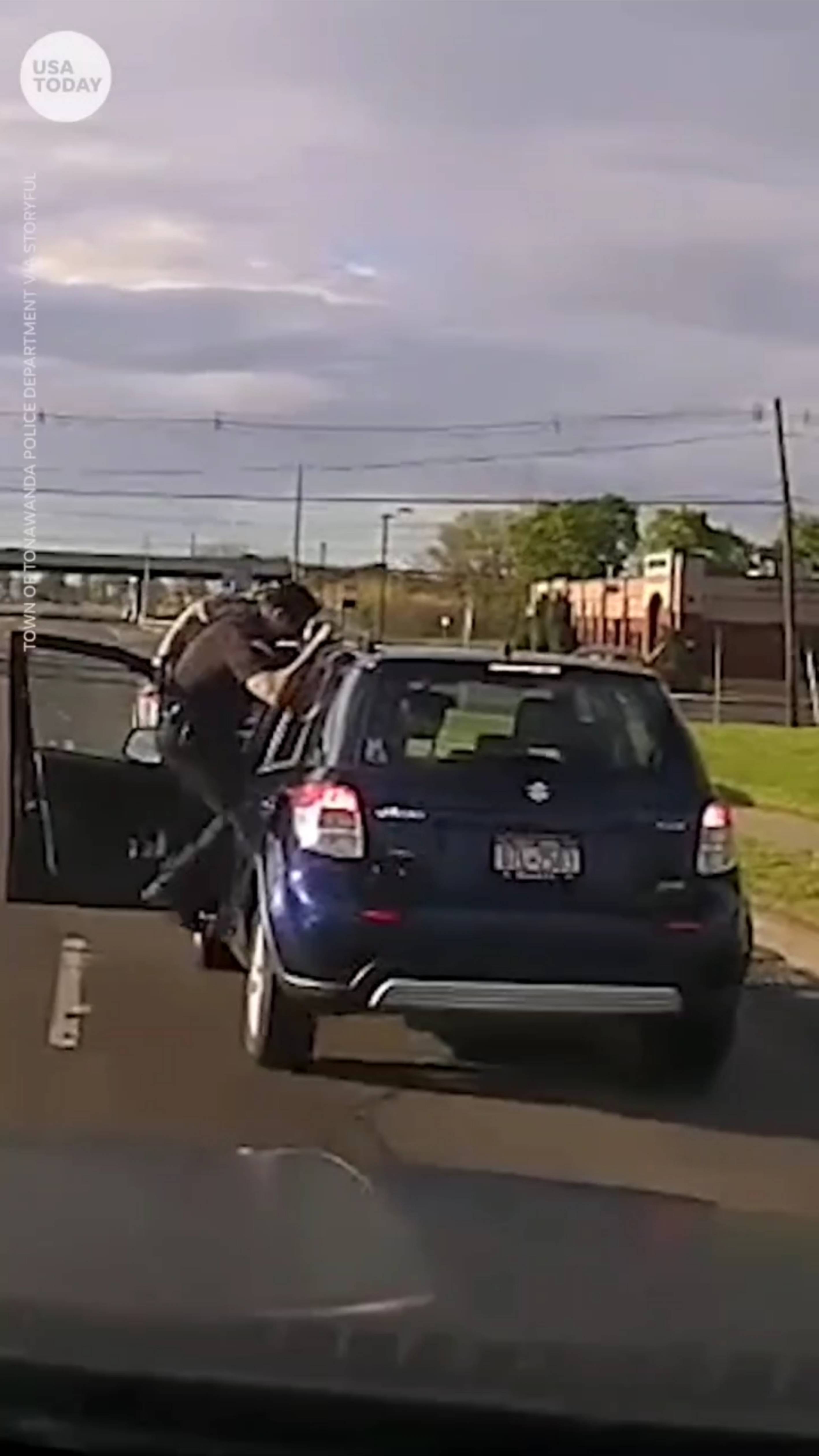 Полицейский помог потерявшему сознание водителю. смотреть онлайн