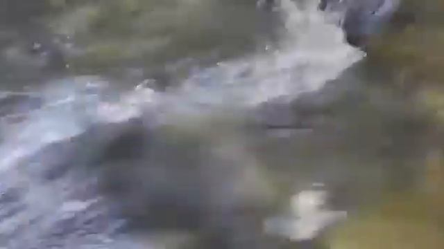 живой ручей //¥//🌊 смотреть онлайн