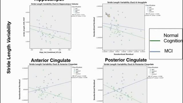 Targeting Function and Neuroprotection with Exercise in Neurodegenerative Disease смотреть онлайн