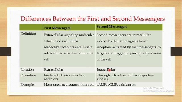 Differences Between First and Second Messengers смотреть онлайн