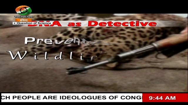 A Question of Science: DNA as Detective смотреть онлайн