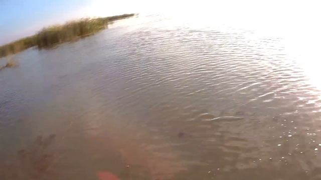 Шикарная охота на утку. Часть 2 смотреть онлайн