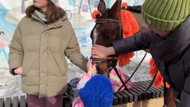 Варуська в парке Толстого