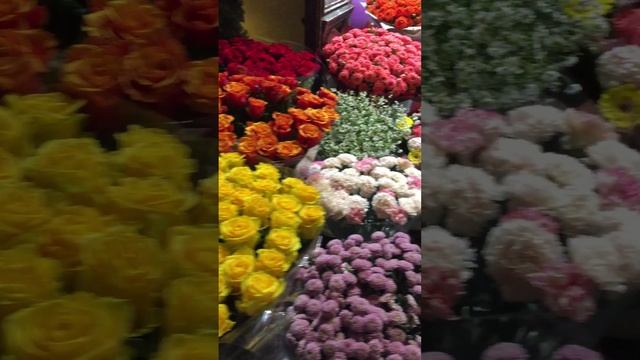 Розы для Милых Дам смотреть онлайн