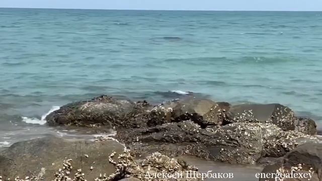 “Живая Вода” медитация-подарок! смотреть онлайн