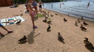 Озеро Плещеево, Переславль-Залесский