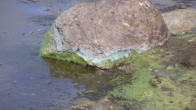 Neurotoxin | Wikipedia audio article смотреть онлайн