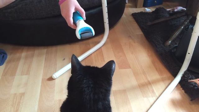 Cat vs Scholl Velvet Smooth pedi foot file!!! смотреть онлайн