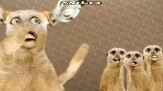 Cats NUMA NUMA YAY HIT si ANULUI 2007 смотреть онлайн