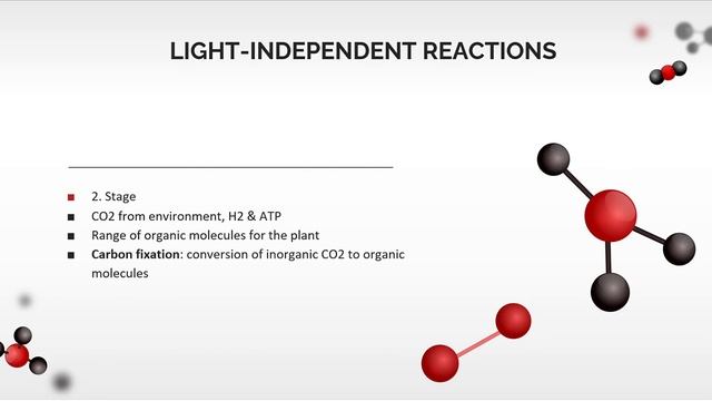 Molecular Biology: 9. Photosynthesis | IBornot2B смотреть онлайн