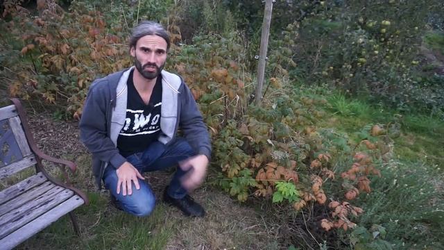 SIX helpful Winter allotment/garden jobs смотреть онлайн