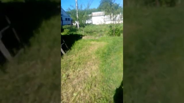 Деревня бор 1 смотреть онлайн