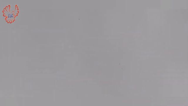 Огонь, вода и медные трубы. смотреть онлайн