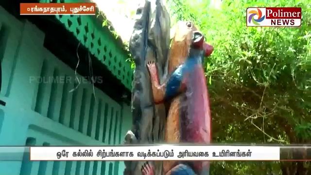 Art work,Universal Eco Foundation, Polimer News смотреть онлайн