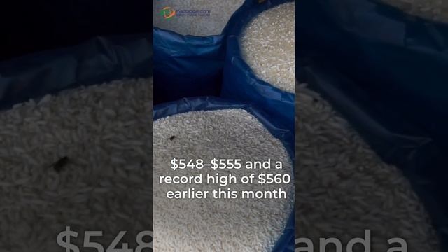 Asia Rice Market Dynamics: Indian Prices Continue to Fall, Vietnamese Rates Increase Due to.. смотреть онлайн
