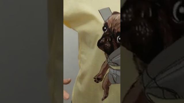 Женская пижама ЖП 056 принт мопс в рюкзаке смотреть онлайн