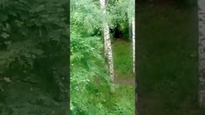 Ижевск  закладчики