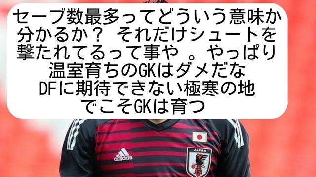 【朗報】ついに日本代表に最強GK見つかるww【サッカー2ch】 смотреть онлайн