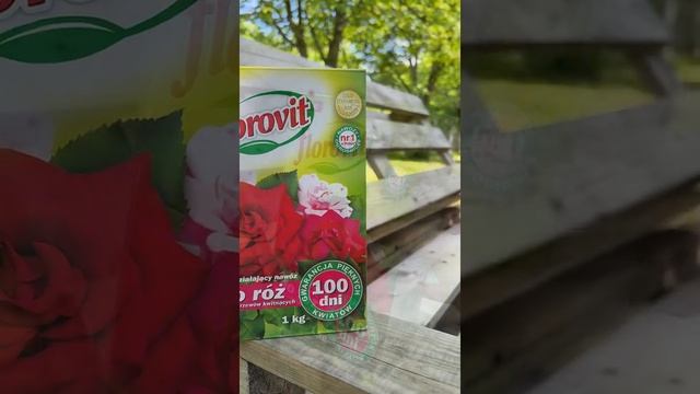 5900498015492 смотреть онлайн