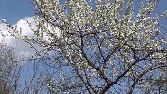 Вы добьетесь многого, если... смотреть онлайн