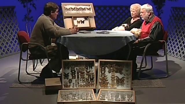 For the Love of Animals: Moths and Butterflies смотреть онлайн