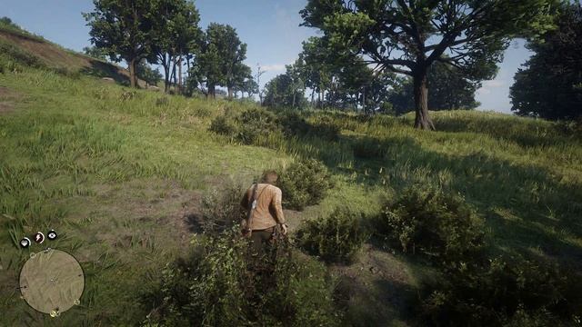 Red Dead Redemption 2 - прохождение [11] - ПК PC русские субтитры