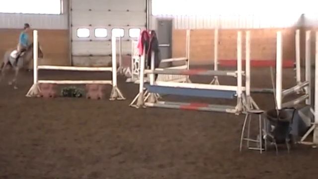 Jack Attack- Hunter- Jumper pony for sale Schooling 1.00M смотреть онлайн