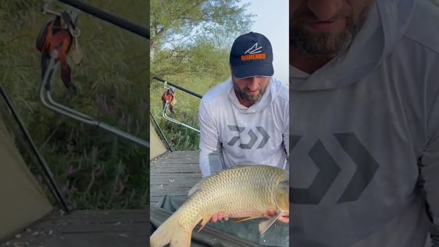 Утренний гость! 😎🤟🏆 смотреть онлайн