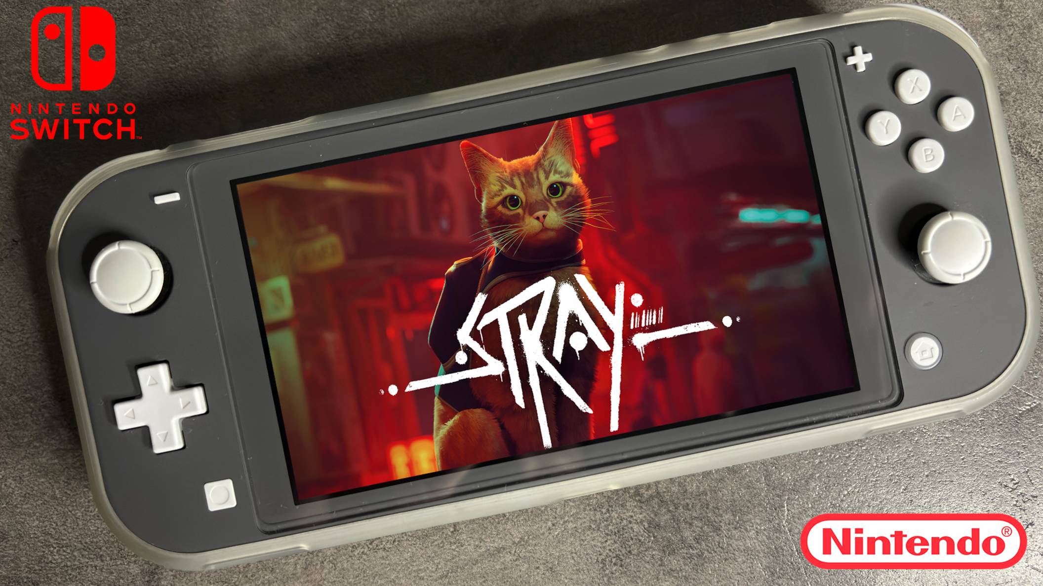 Stray Nintendo Switch Lite Gameplay смотреть онлайн