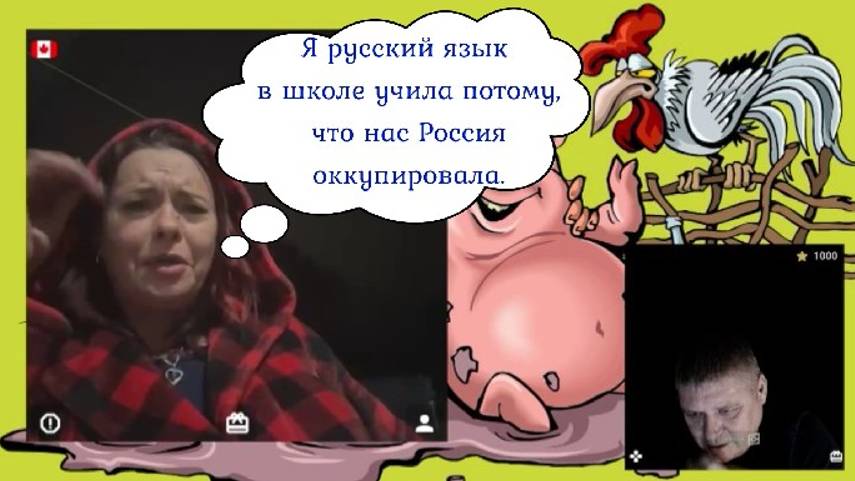 "ОкрАинка мову не знает" и немного стационара 14-17.11.24 смотреть онлайн