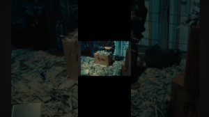 Песня Давида Турова смотреть и слушать