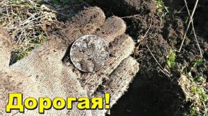 Бабушка разрешила походить возле дома - Дорогая монета