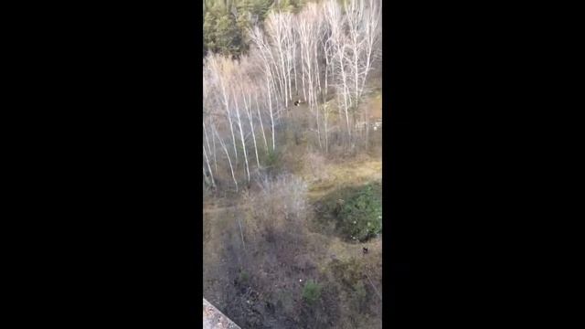 Прыжок 2 смотреть онлайн