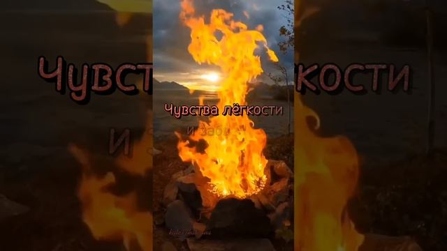 Никогда ни к кому не привязывайся#стихотворение смотреть онлайн