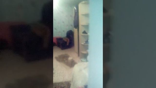 Обследую лизин дом смотреть онлайн