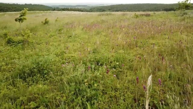 Good place смотреть онлайн