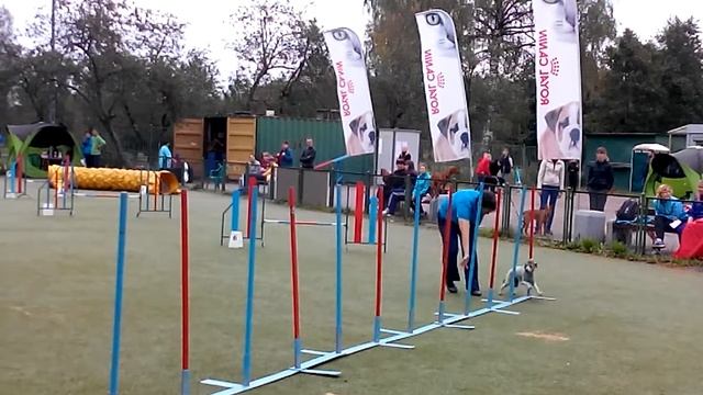 Маша и Юста смотреть онлайн