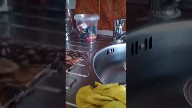лед. тв 2 смотреть онлайн