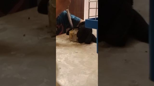 роскаловаем лед 2 часть смотреть онлайн