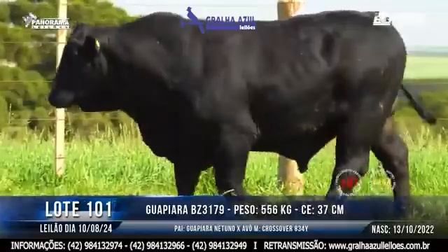 LOTE 101 смотреть онлайн