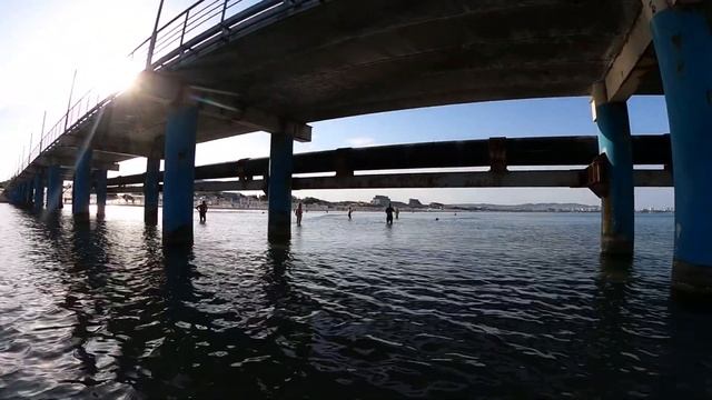 #Анапа.Сегодня 8.07.2024.Чёрное море.Пляж «ЭЛЛАДА» Утро 7.10.Воздух 26. Море 17. Дельфин ЯША. смотреть онлайн