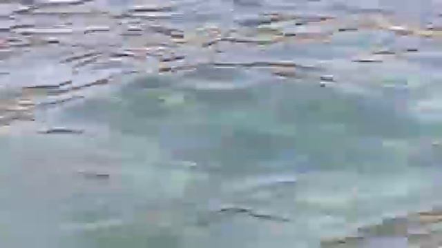 Под водой, здорово! 01 10 16 смотреть онлайн