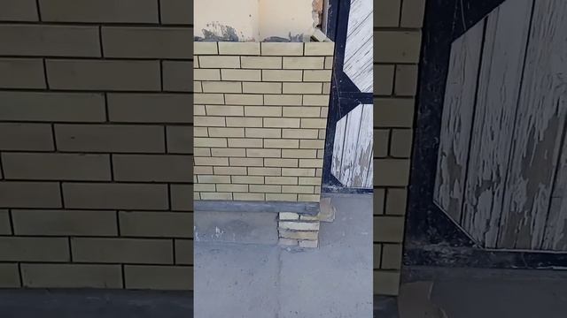 1 сентября 2024 г. смотреть онлайн