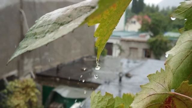 капля дождя в замедленной съемке смотреть онлайн