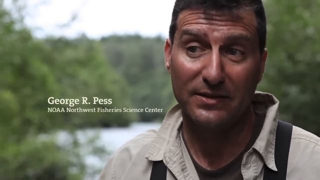 Undamming the Elwha, the documentary смотреть онлайн