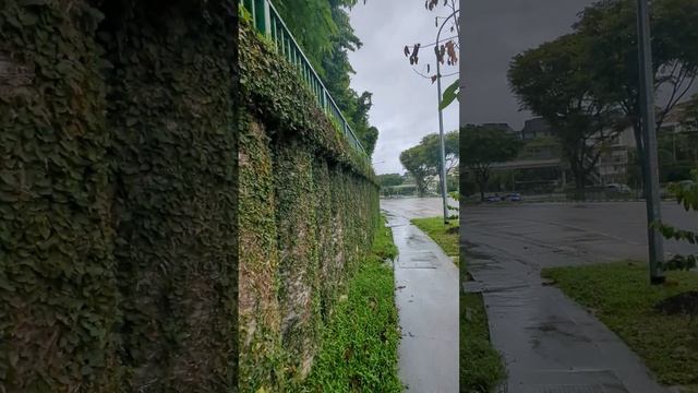 Чудеса как в Садах у Залива. Сингапур - вода течет по вертикальному саду. Зачем платить больше? смотреть онлайн