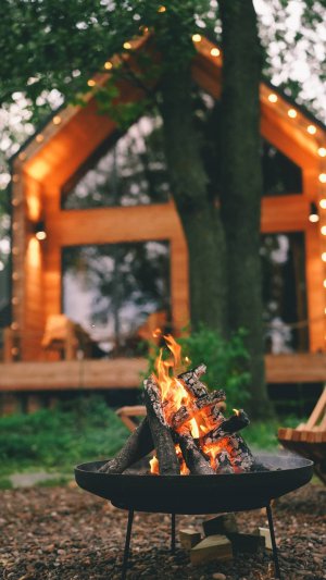 Дуб и море. Видео обзор участка и дома. Осень 2024г.