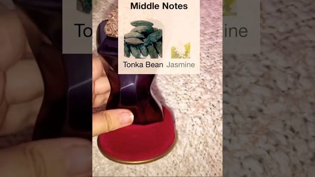 La Belle Le Parfum Jean Paul Gaultier for women#short смотреть онлайн